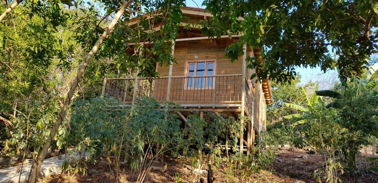 Guest house Honey Baru Cartagena