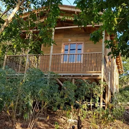 Guest house Honey Baru Cartagena
